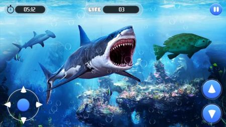 白鲨攻击任务3D游戏