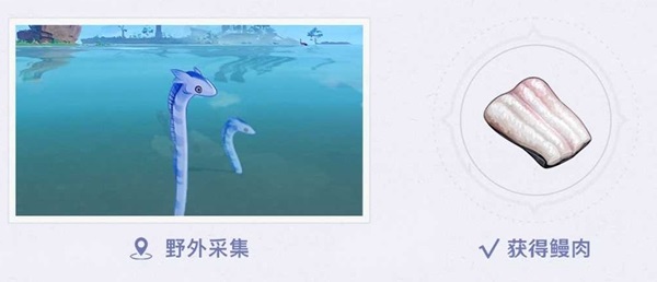 原神赤鳍陆鳗鳗刷新位置介绍