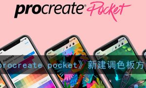 《procreate pocket》新建调色板方法